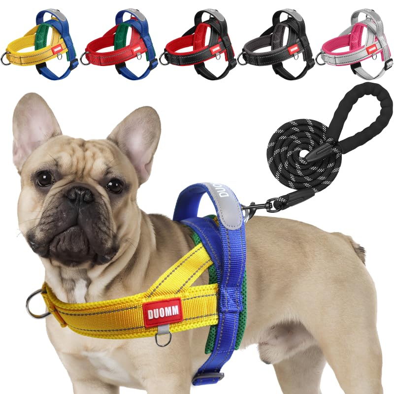 LiebeDD Hundegeschirr mit Leine fr Mittelgroe Kleine Hunde Welpen, Bunt  Farbblock Geschirr, Mesh Gepolstert Brustgeschirr Hund mit Griff und  Brustring, Reflektierend & Leicht, GelbBlau, S : Amazon.de: Haustier