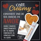 Ver la foto 2