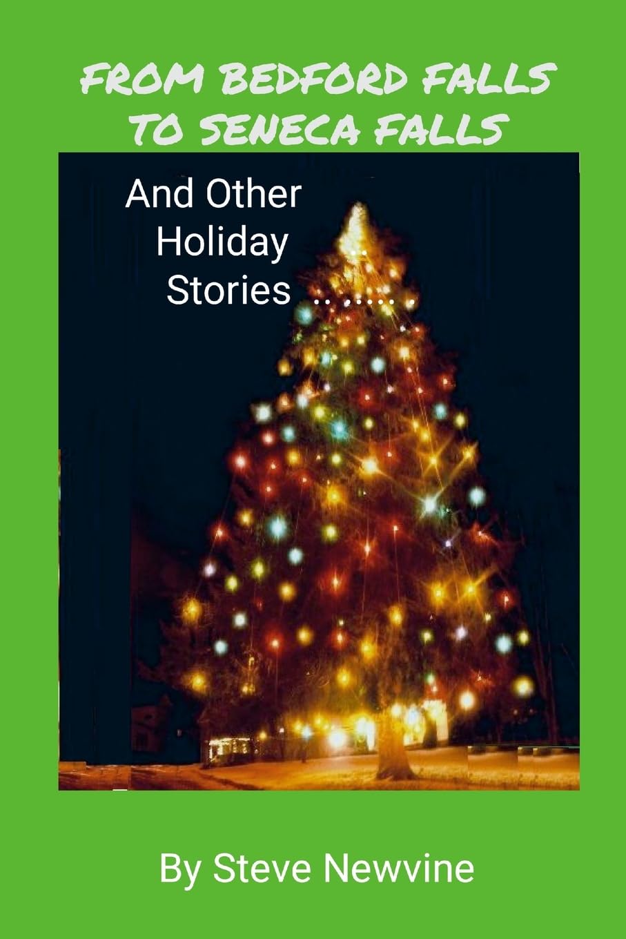 From Bedford Falls to Seneca Falls: And Other Holiday Stories