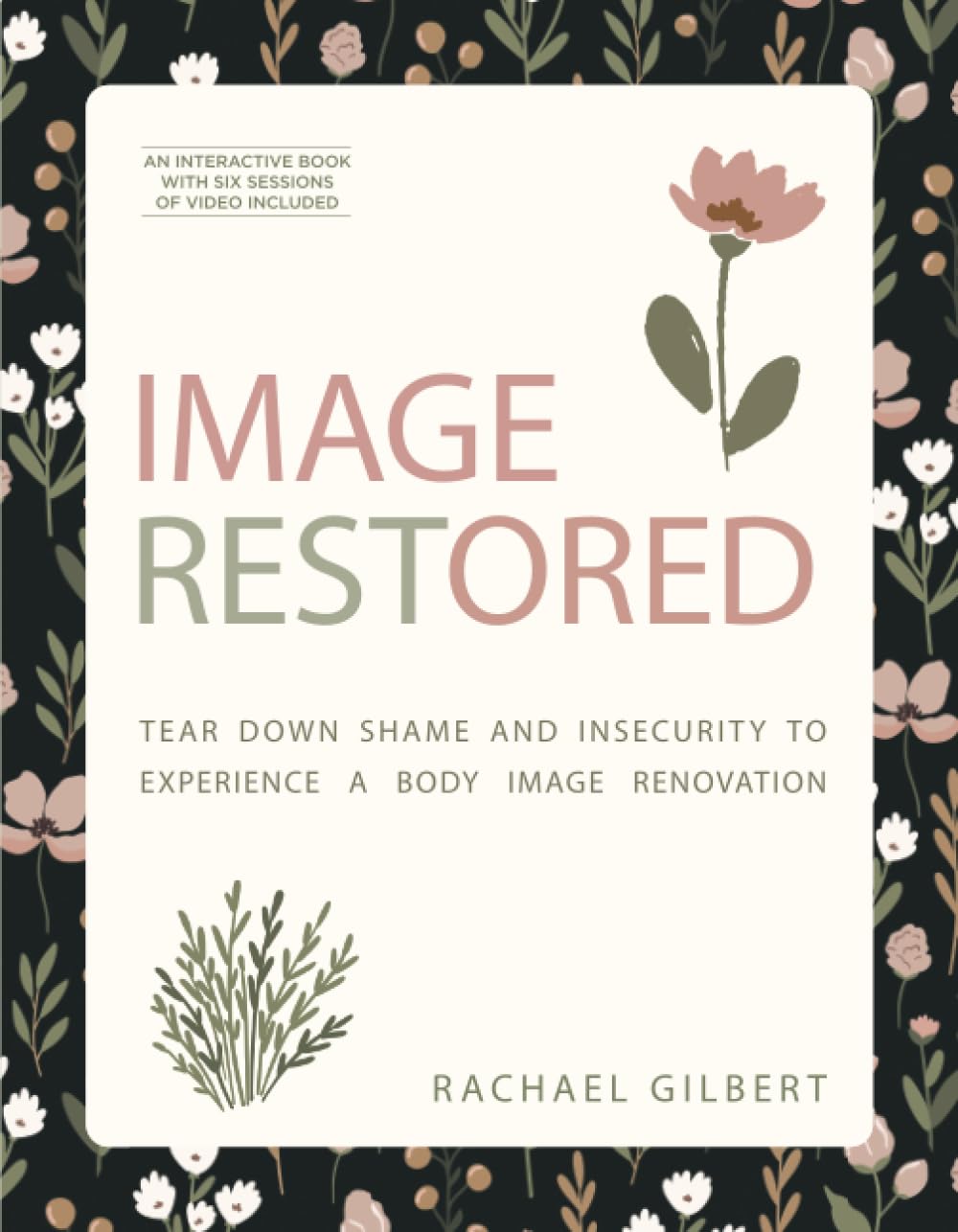 Image Restored - Includes Six-Session Video Series