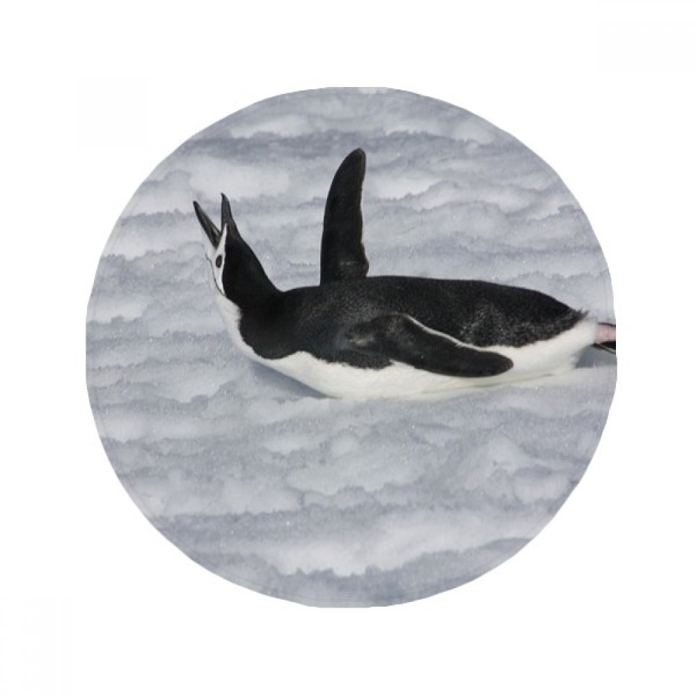 Tapis de sol pingouin antarctique rond 50x50cm pour salon