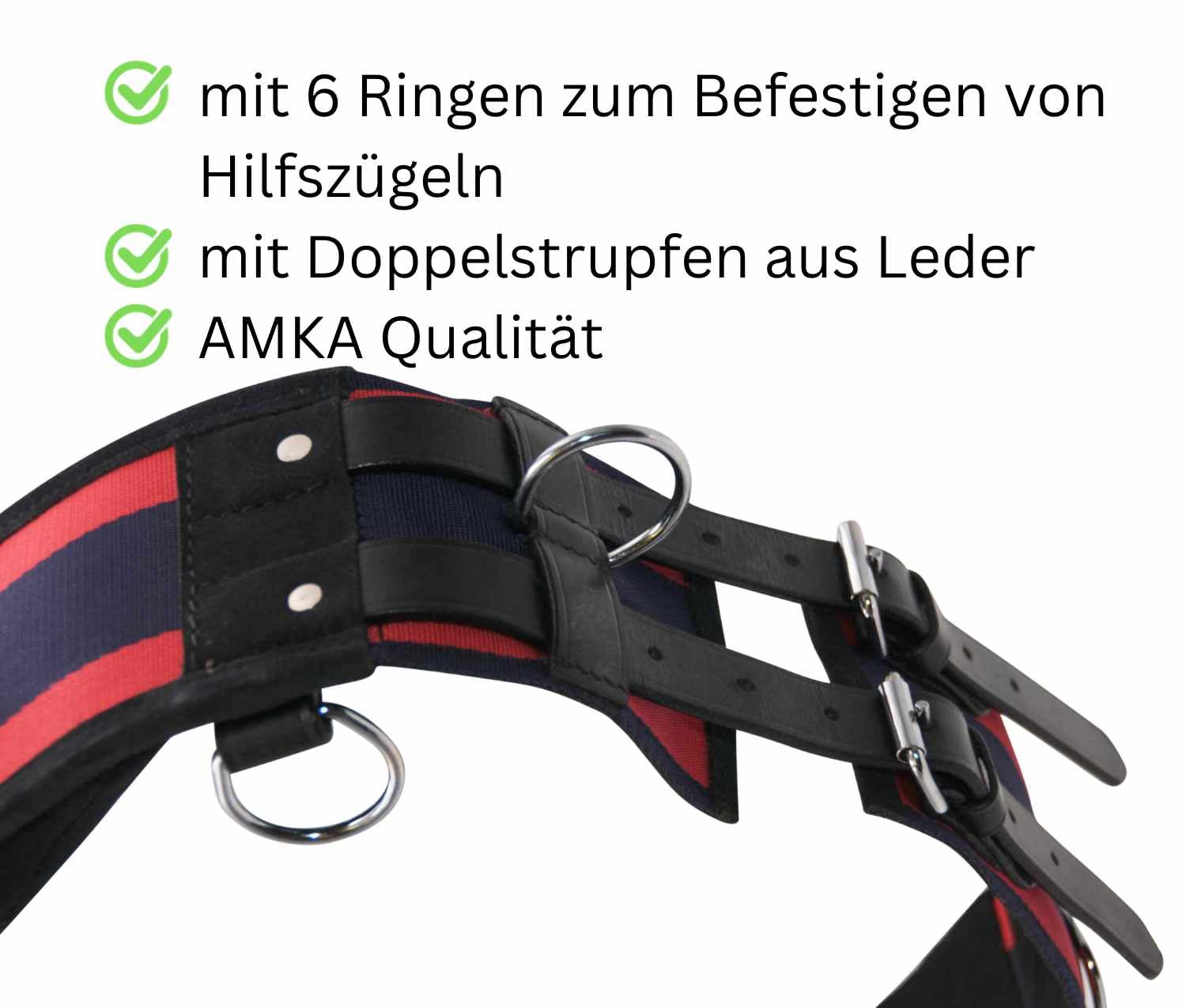 AMKA Longiergurt Reitgurt mit Handgriff aus Leder mit 6 Ringen 2 Ringe für Steigbügelriemen