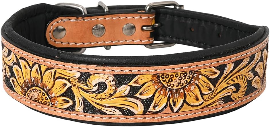 Brown Medium HILASON Strong Genuine Leather Dog Collar Painted