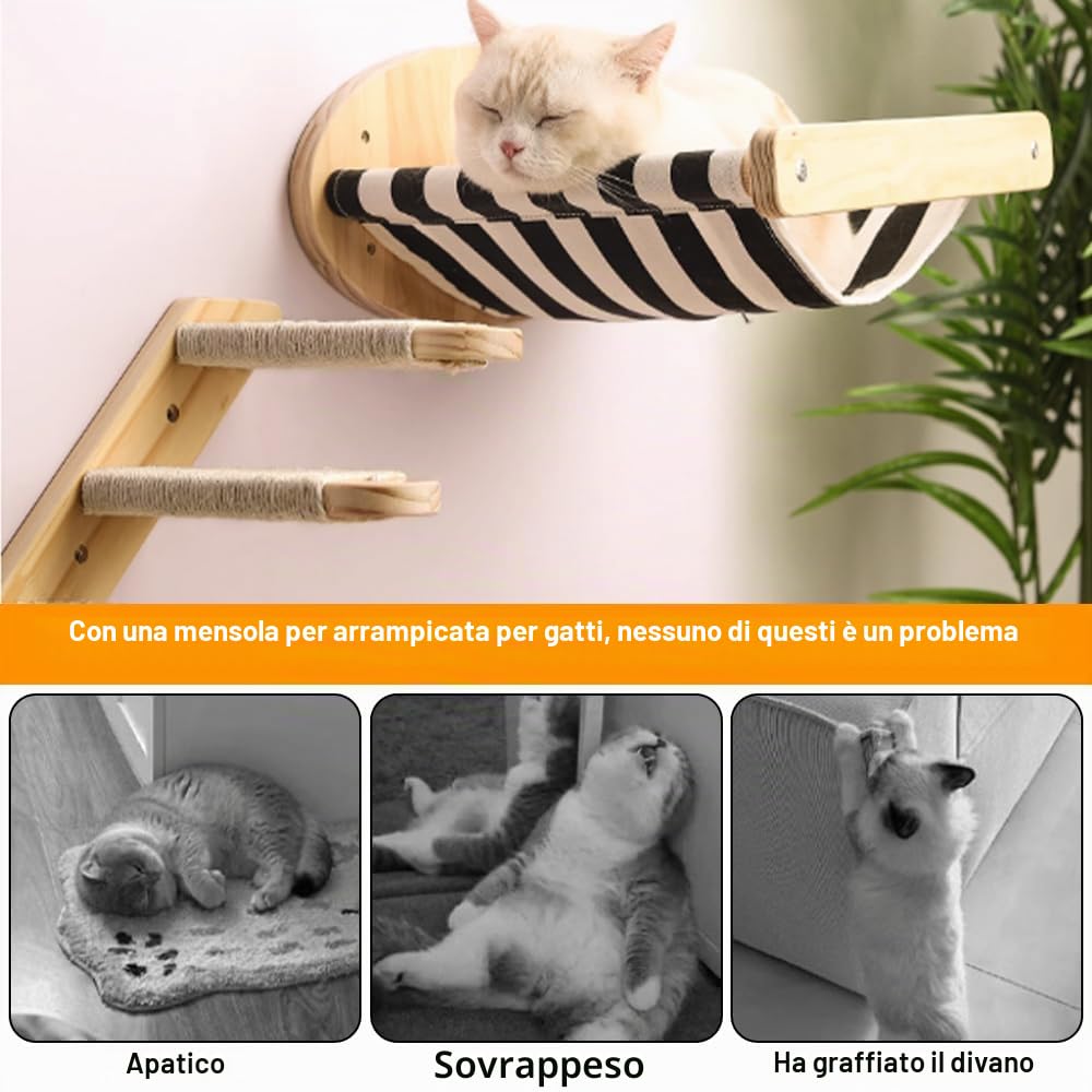 Scala da Parete per Gatto per arrampicata,Scaletta per Gatto con Corda di Luta,4 Scale e Gradini da Parete per Gatti,Montata a Muro per Arrampicata, Giocare, Rilassarsi
