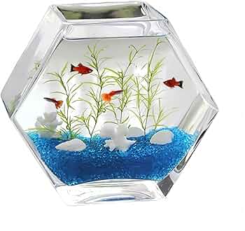 【美品】　ガラス花瓶　アクアリウム　レトロ瓶 アクアリウム】【ボトルアクアリウム】四角ガラス 花瓶の通販 by