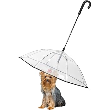 umbrella leash holder