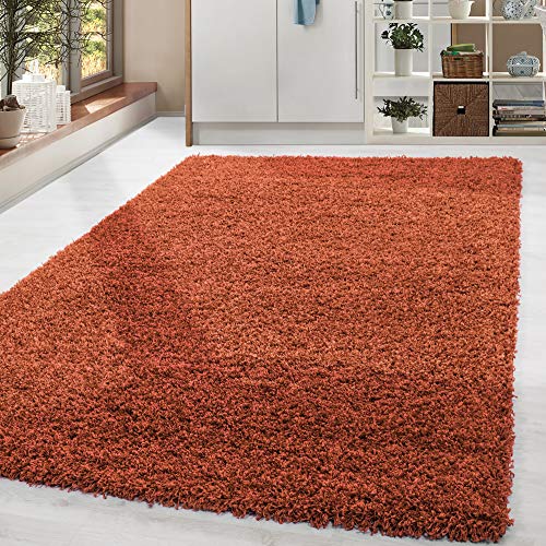 HomebyHome Alfombra Salon Peludo de Pelo Largo Tierra 140x200 cm - Alfombras de Habitacion Sala de Estar Modernas Suave y Esponjoso - Alfombras Dormitorio Moqueta Cocina Rectangular