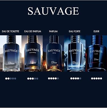 Dior Sauvage Eau Forte Alkol İçermeyen Parfüm, 100 ML, Erkek