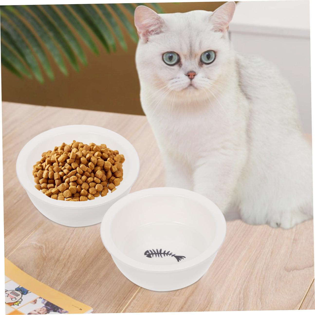 Levemolo 2 Stück Teiliges Keramik doppelnapf Welpen und Katzen Kreative Futterschalen Glatt und Leicht zu Reinigen Praktische Futter Trinkschalen für Kleine Hunde und Katzen rutschfest und