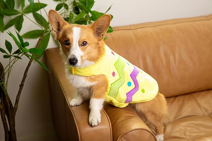 Disfraz de huevo de Pascua Midlee para perro, amarillo, talla grande miniatura 3