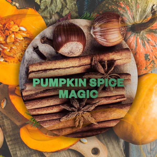 Air Wick Active Fresh – Aeorosolfreier, automatischer Lufterfrischer – Raumduft Pumpkin Spice Magic – 4 x 228 ml Nachfüller – Ansicht 4