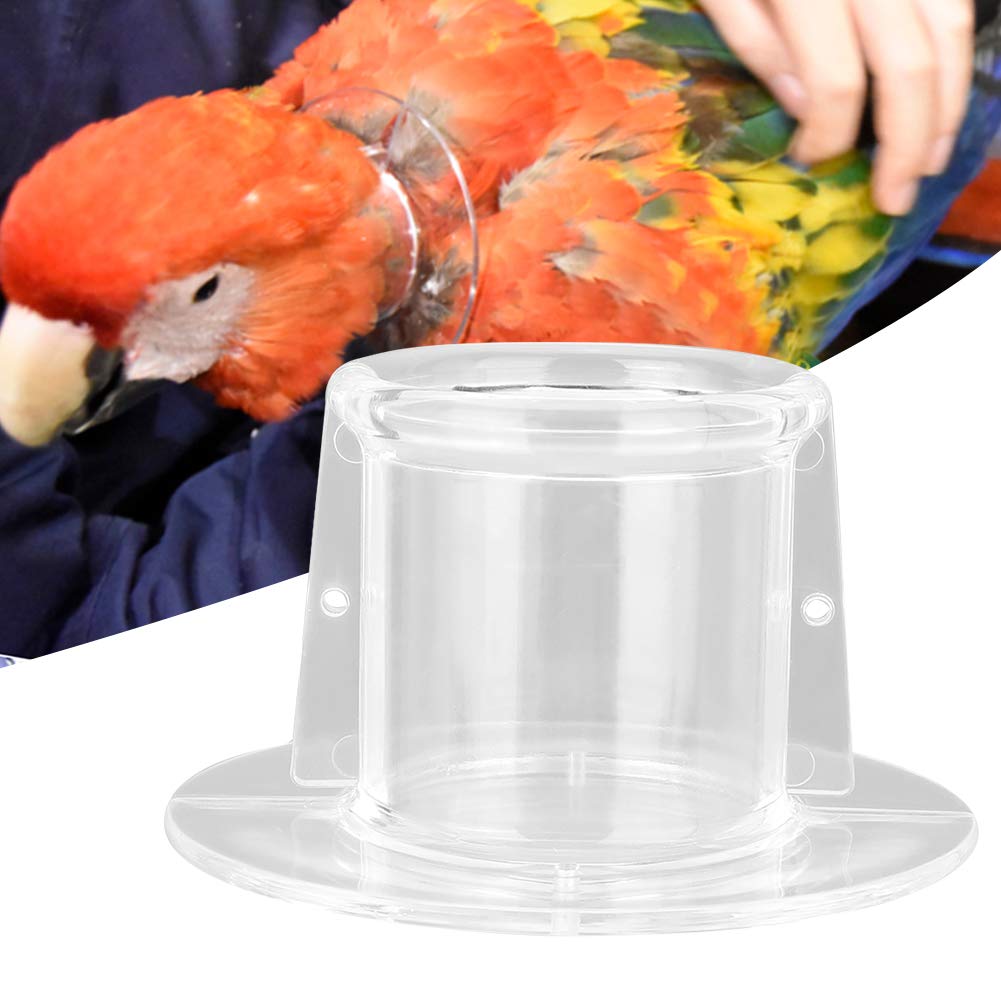 Cubierta para Cuello de Pájaro, Loro para Mascotas, Collar Antimordedura, Collar de Pájaro, Movimiento de Cuello de Pájaro, Banda para el Cuello, Cubierta para el Cuello, Pluma, Lamer, Curación de