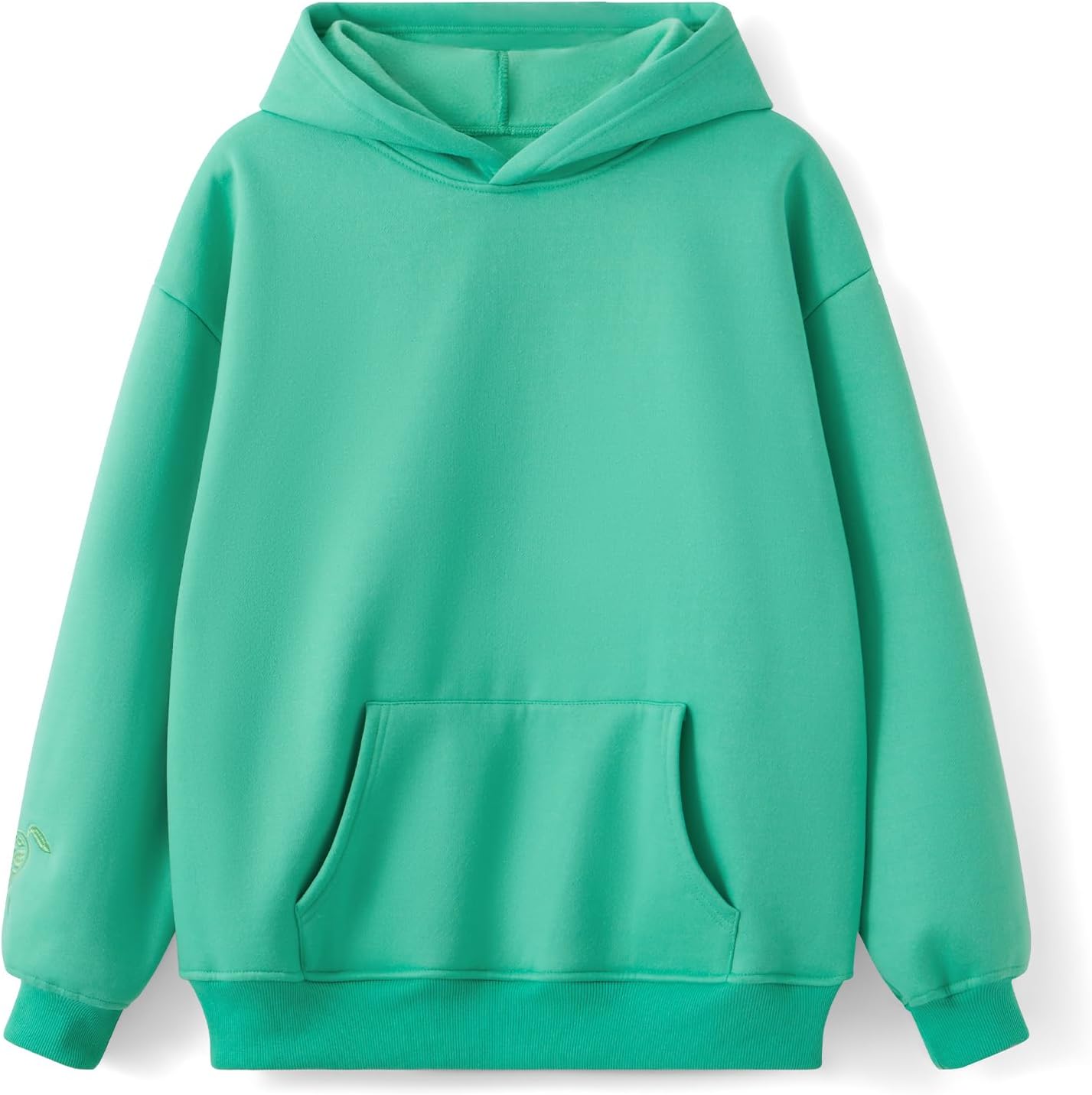 SOOKABEILA Preppy Embroidery Butterfly Letter Hoodies for Teen Girls Cute Y2k Oversized Graphic Pullover Sweatshirt Top