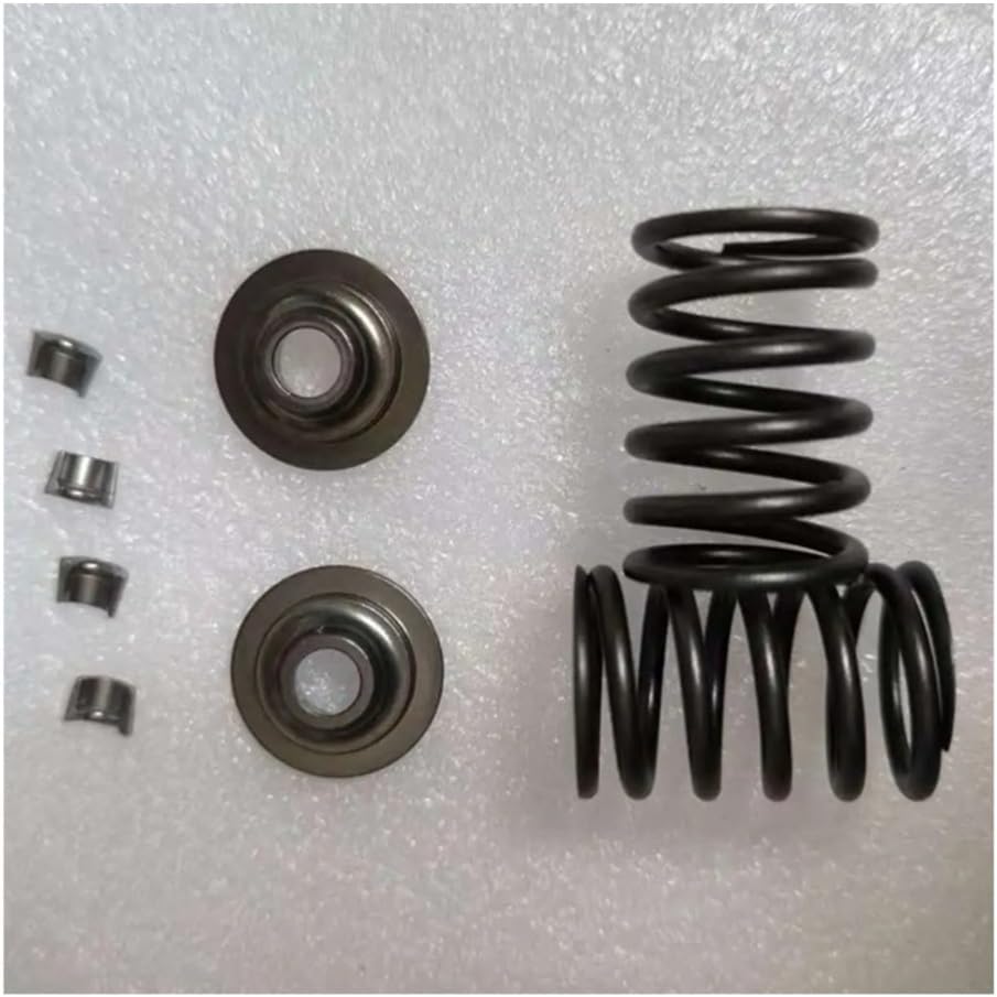 VALVE SPRINGS CLIP For 14HP EX40