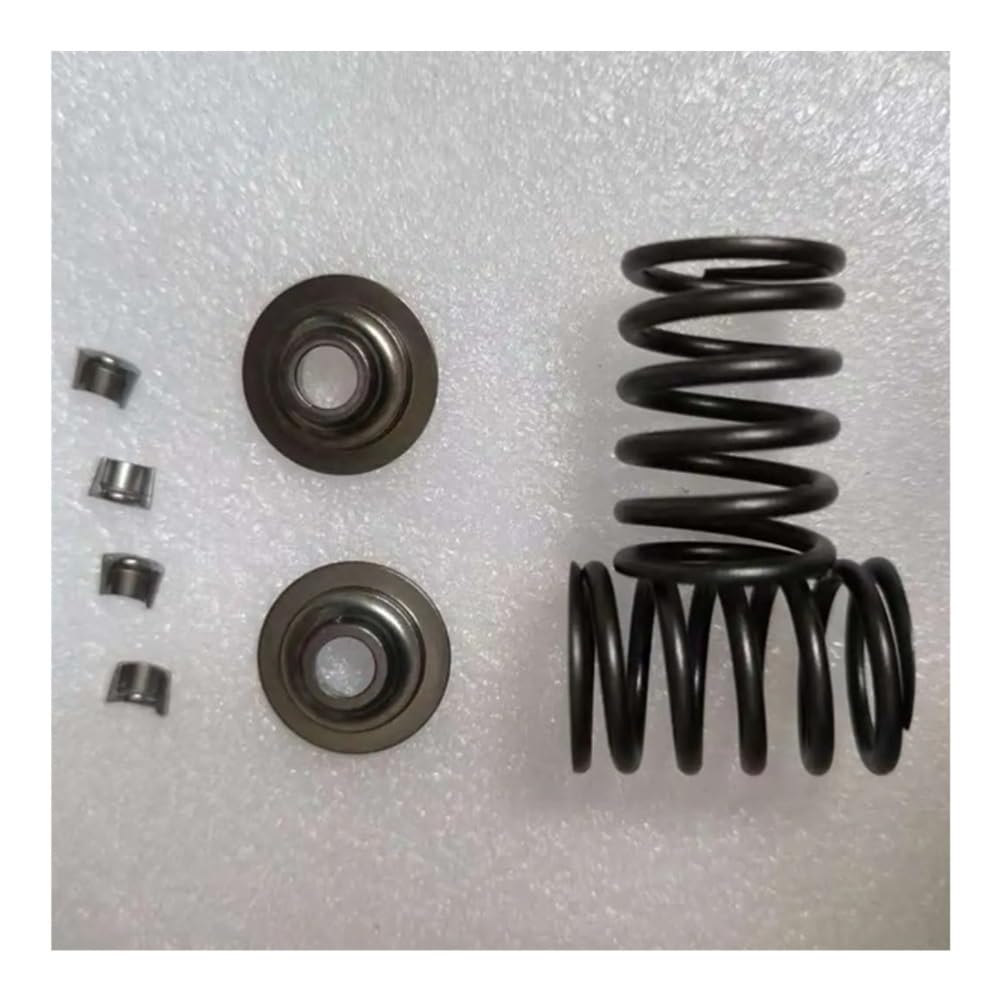VALVE SPRINGS CLIP Fit For 14HP EX40