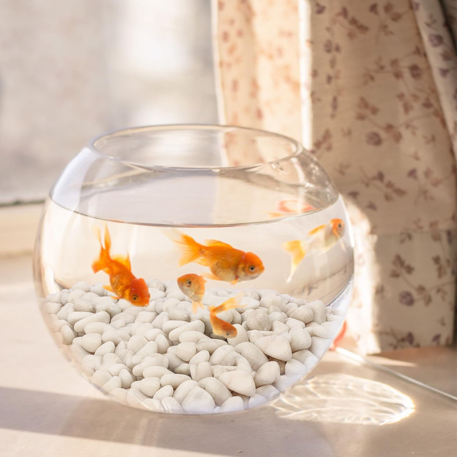 Rocce di fiume naturali bianche di alta qualità da 3,5 cm – Versatile 10 kg di rocce di fiume e ciottoli per piante da esterno e interno, uso per pietre bianche decorative per giardino