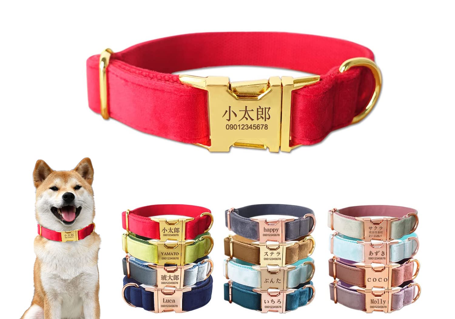 Amazon | Tiiyar 犬 首輪 名前入り＆電話番号刻印 迷子札付き カスタム