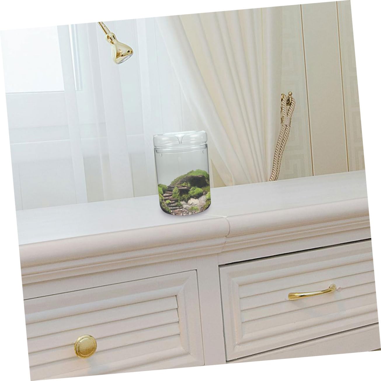 DECHOUS Terrario in Vetro per Ecosistema di Muschio, Vaso Decorativo Leggero e Resistente, per Scrivania e Soggiorno, per Piante e Fiori