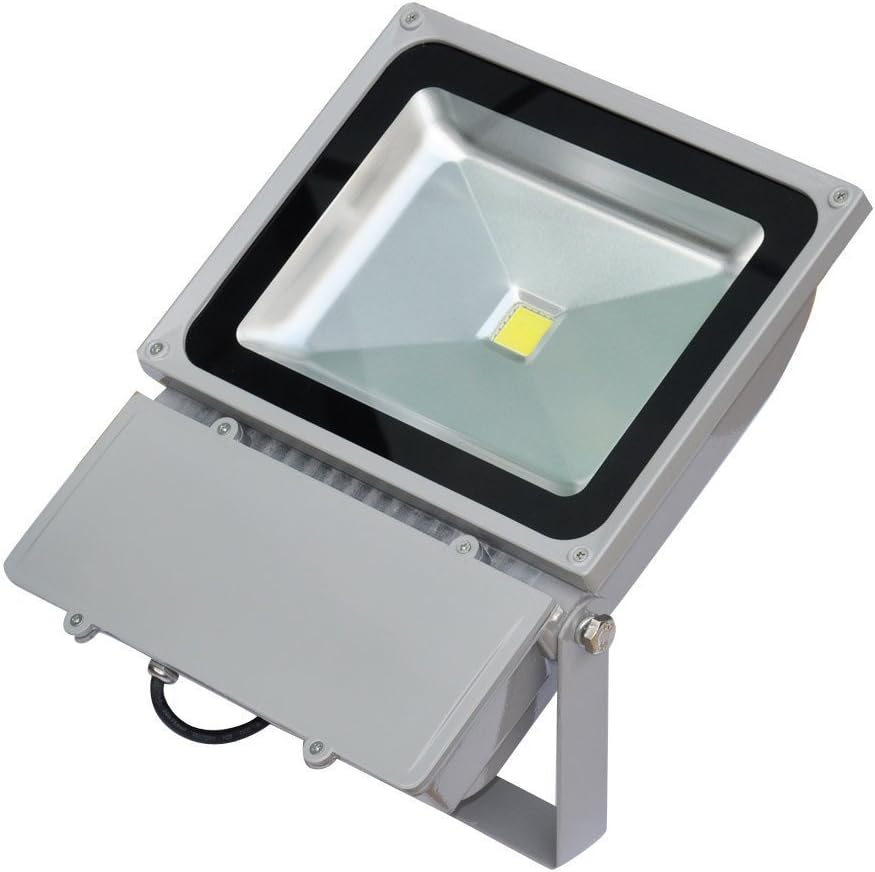Xium Brand 100 Watt LED Foodlight - Waterproof Indoor / Outdoor Security LED Floodlight, Super Bright White - Cool White (6000k-7000k) COOL WHITE