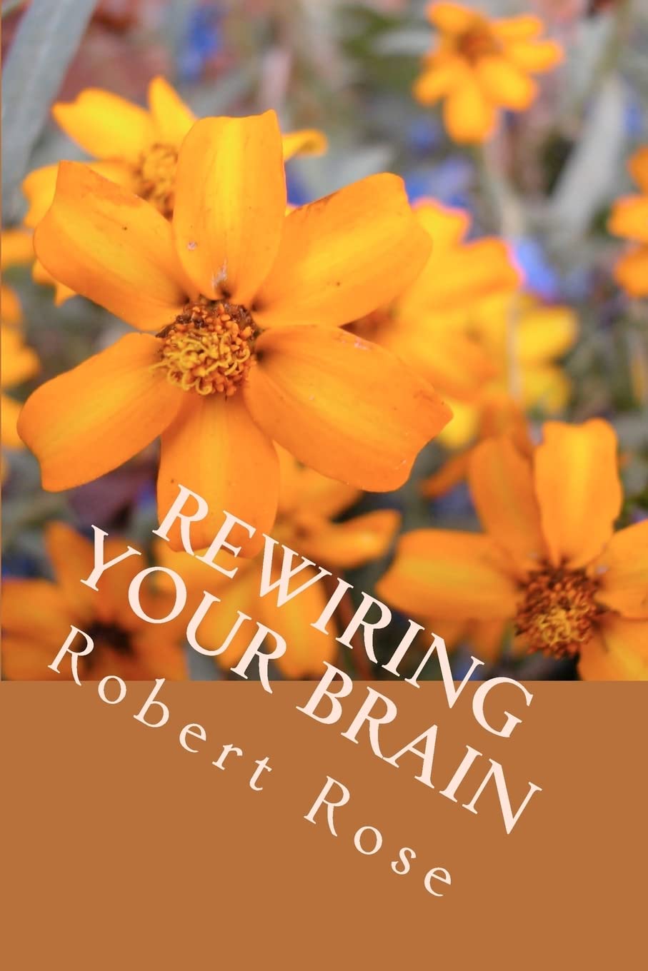 Rewiring Your Brain: Insightful, Inspiring People: Volume 2
