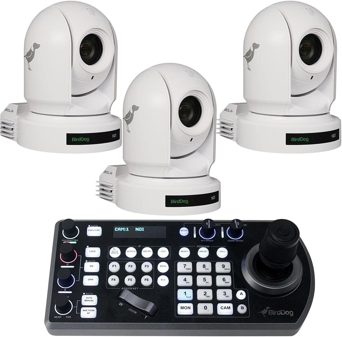 BirdDog Eyes P200 1080p Full NDI PTZ Camera with CMOS Backlit Sensor and Image Module (White) BDP200W