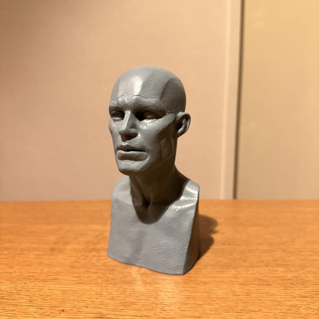 KATAGIRIアナトミーフィギュア［ベージュペイント版］片桐裕司 ba717e996a2029ba1e0d7630004288