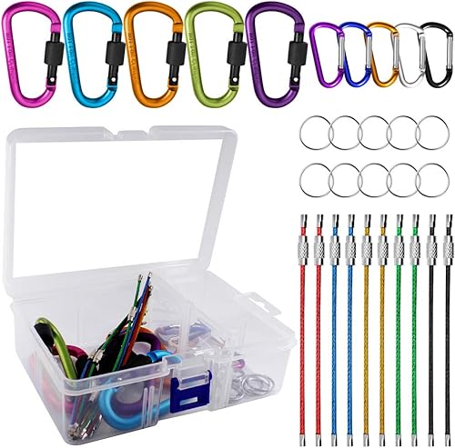 YuCool - Juego de 10 mosquetones en forma de D de aluminio con 10 llaveros de alambre de acero inoxidable 10 llaveros multicolor