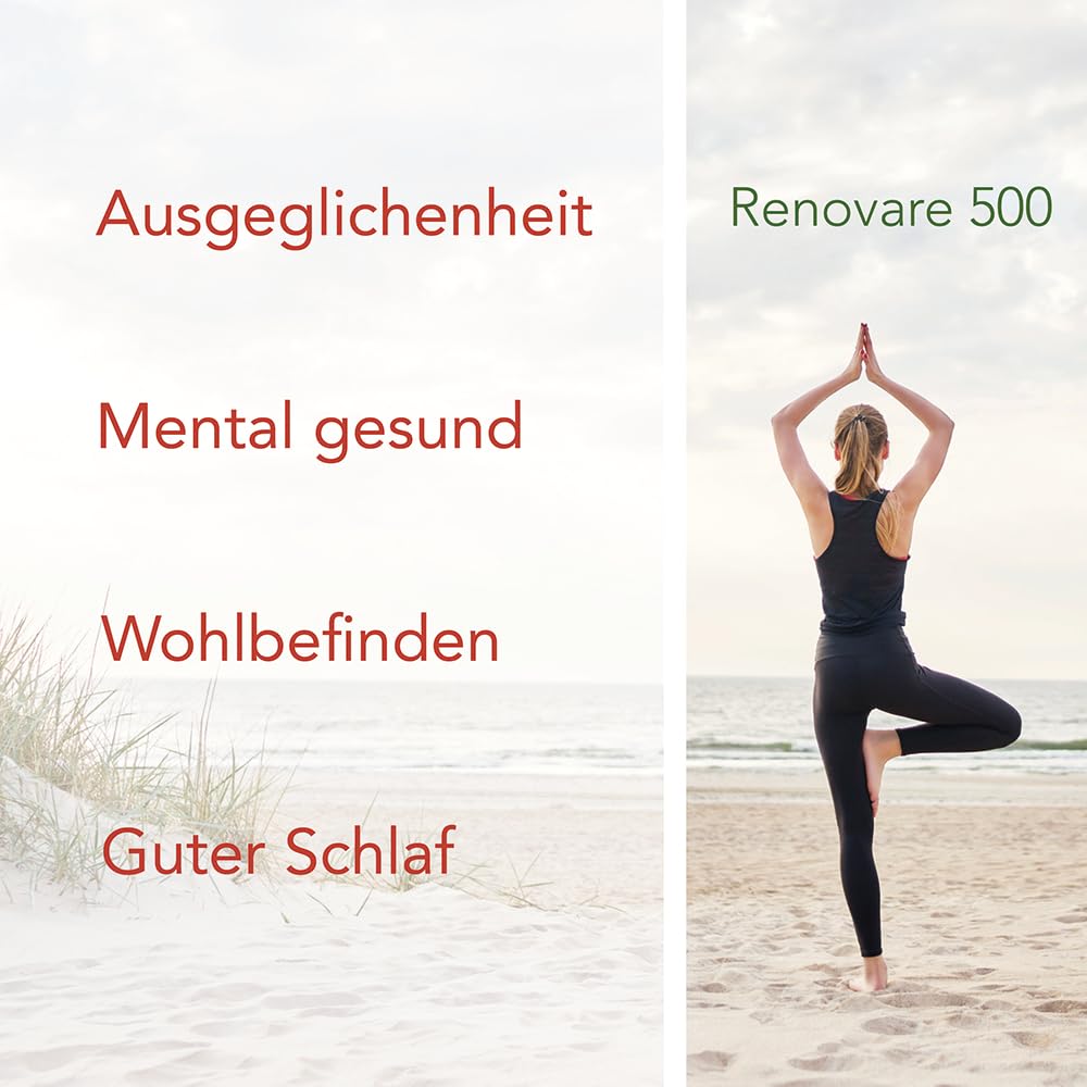 Renovare 500