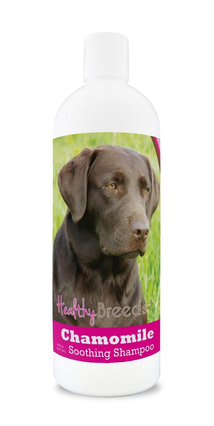 Healthy Breeds Yorkshire Terrier Chamomile Soothing Dog Shampoo 8 oz — view 163