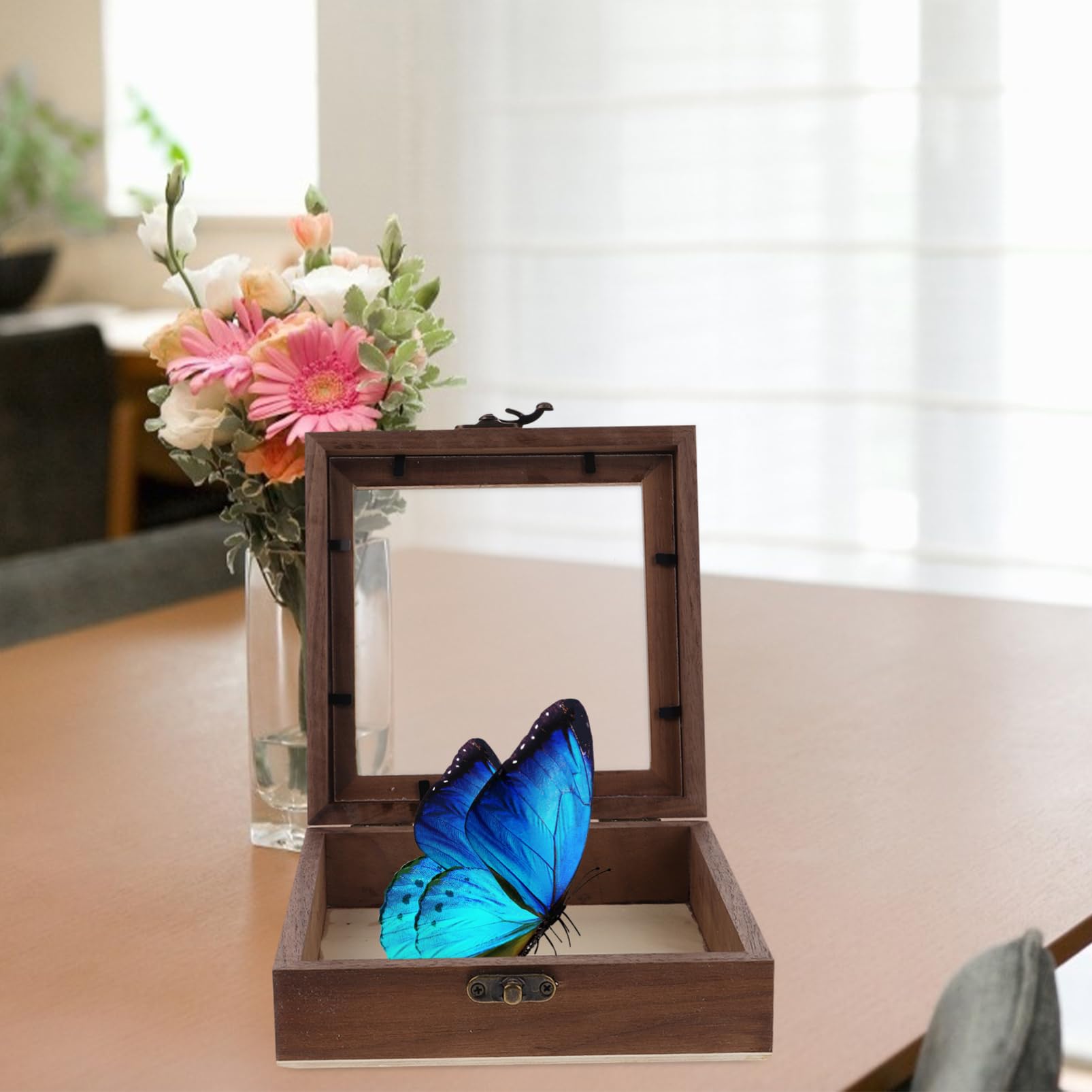 FELTECHELECTR Shadowbox Display Case Insect Display Case Light Brown Acrylic Shadow Boxes Wood Specimen Display Frame