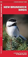 New Brunswick Birds (Nature Observation North America)