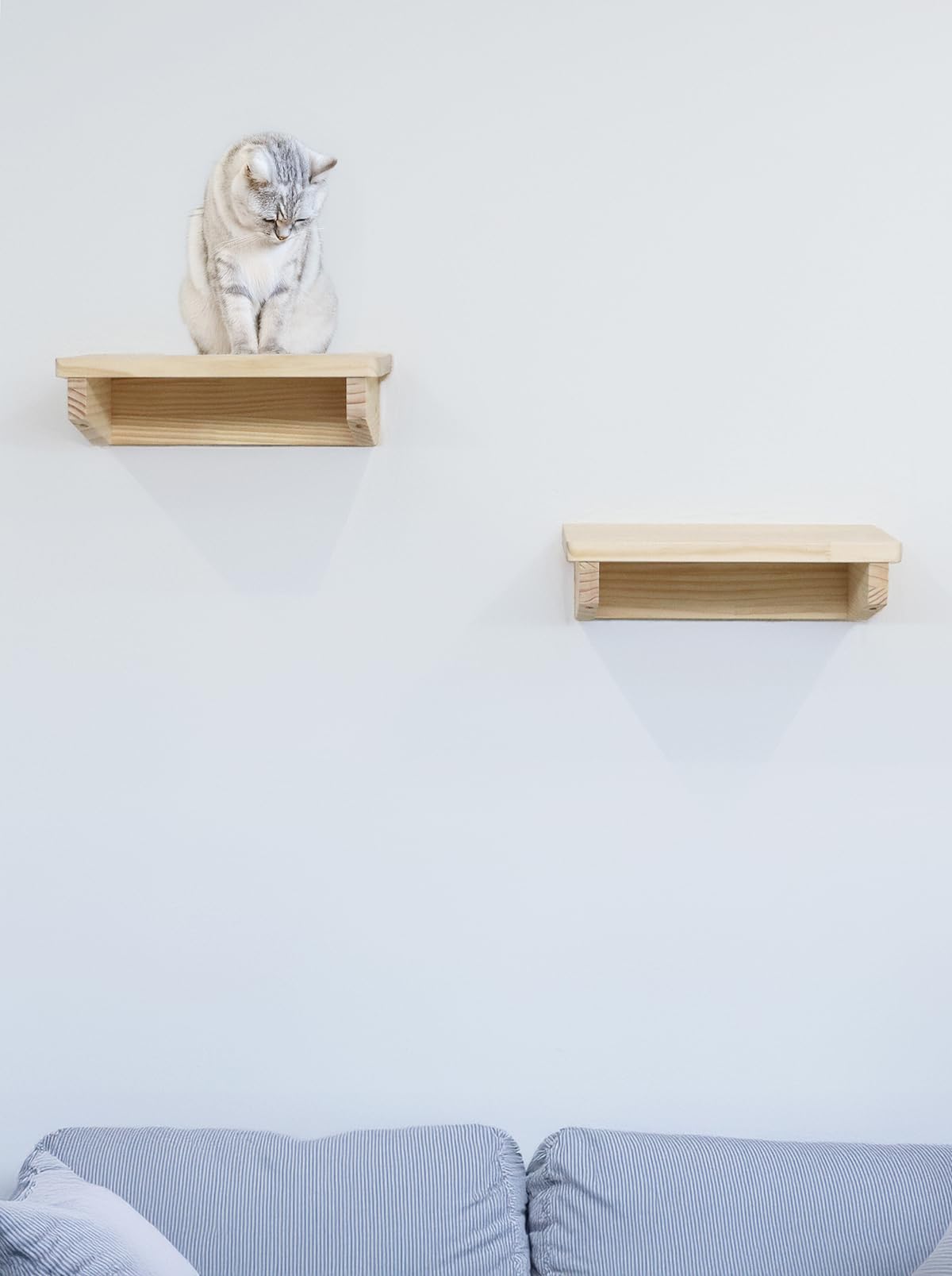 Amazon.co.jp: キャットステップ キャットウォーク 1台 日本製 猫 壁