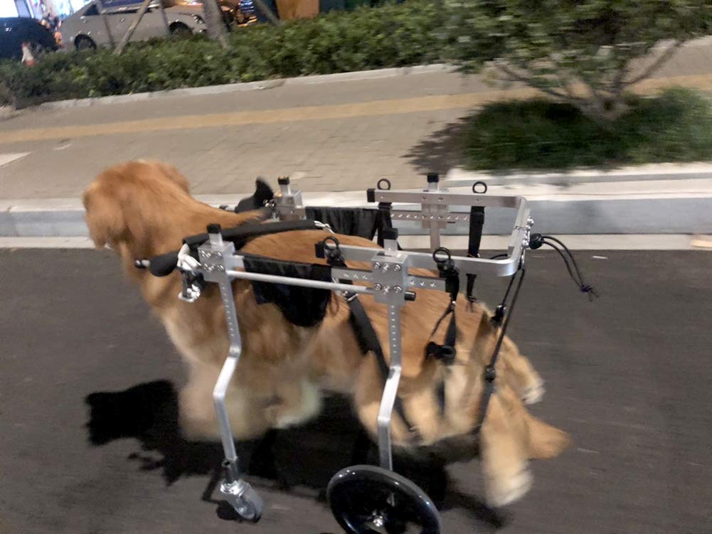 Carrello Regolabile per la Riabilitazione delle Zampa Anteriore/Zampe Posteriori di Cani e Gatto, Imbracatura Cane Supporto per Cane Anziani/Feriti Disabili, 4 Ruote, Dog Wheelchair, 1~6KG