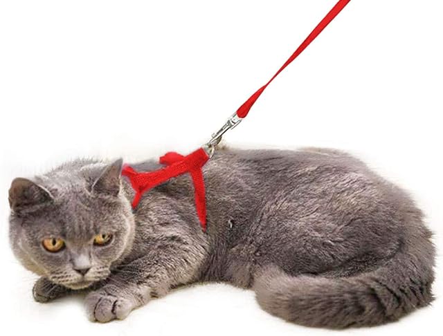 Sadocom Escape Proof Cat Set of Harness and Lead -Soft Adjustable Nylon Leash - Best for Kitten Rabbits Puppy Walking
