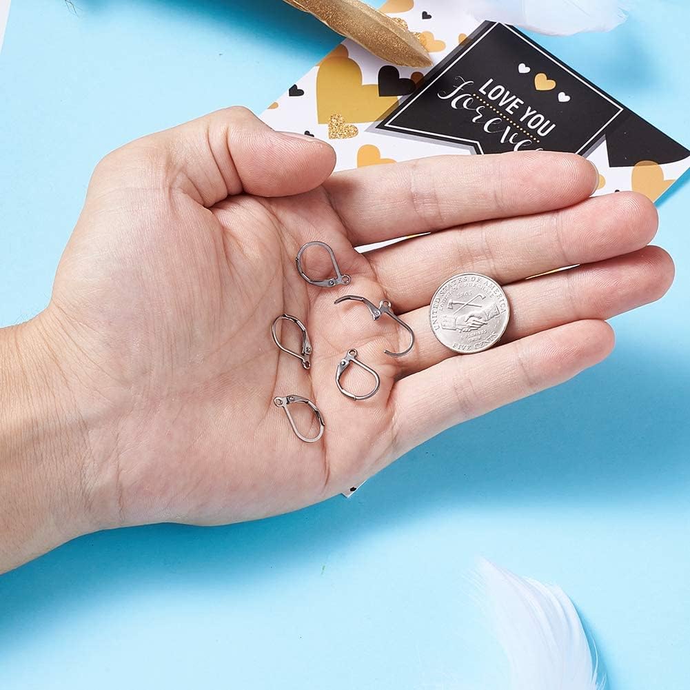 Pandahall 100pcs Stainless Steel Lever Back Hoop Earrings Surgical Earring Components for Jewelry Makings 13x10x1.5mm : Everything Else