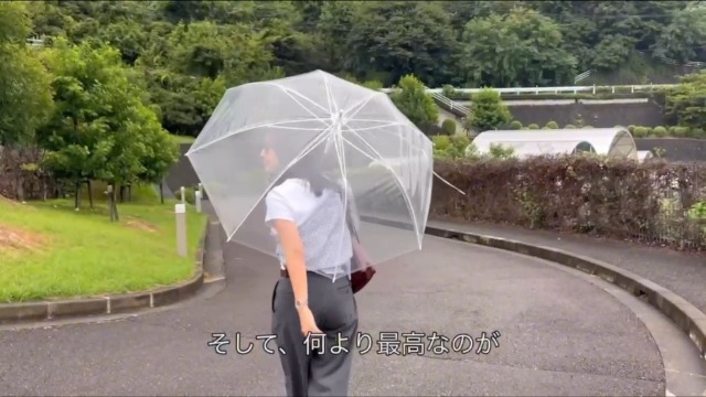 Amazon | Kiboer ヘアアイロン コードレス 2WAY カール/ストレート