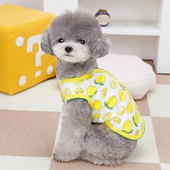 犬服 S わんこの普段着　サークルフラワー 犬服 S わんこの普段着サークルフラワー