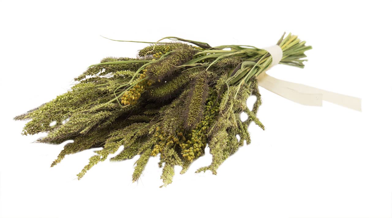 JR FARM Hirsen-Potpourri 50g - Hirse Vogel Vogelfutter Ergänzungsfutter