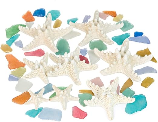 ファッション Nautical Crush Trading 貝殻 本物のミックスビーチ貝殻 本物のヒトデとアクアブルーのシーグラス付き ホワイト装飾貝殻装飾 ブルー その他インテリア雑貨 小物 Www Colpharma Com