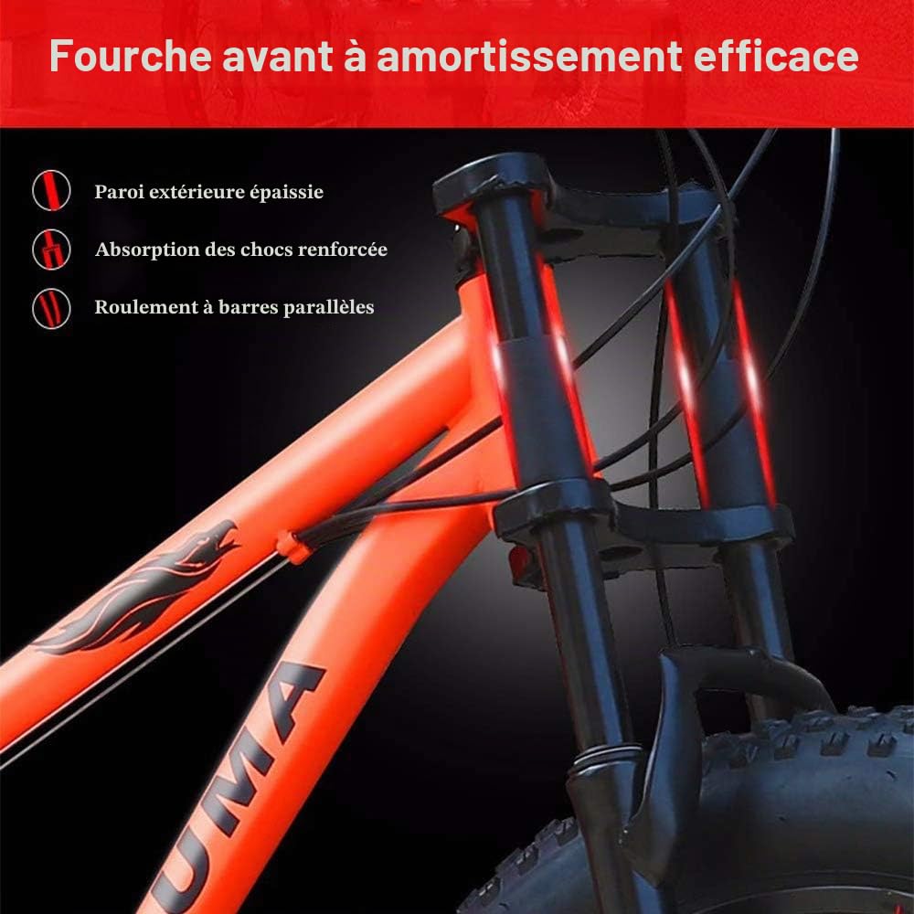 26 Pouces Mountain Bikes, Adulte Garçons Filles Fat Tire Mountain Trail Bike, Double Frein à Disque de Bicyclette, Cadre en Acier Haute teneur en Carbone, Anti-Glissement, 21 Vitesse