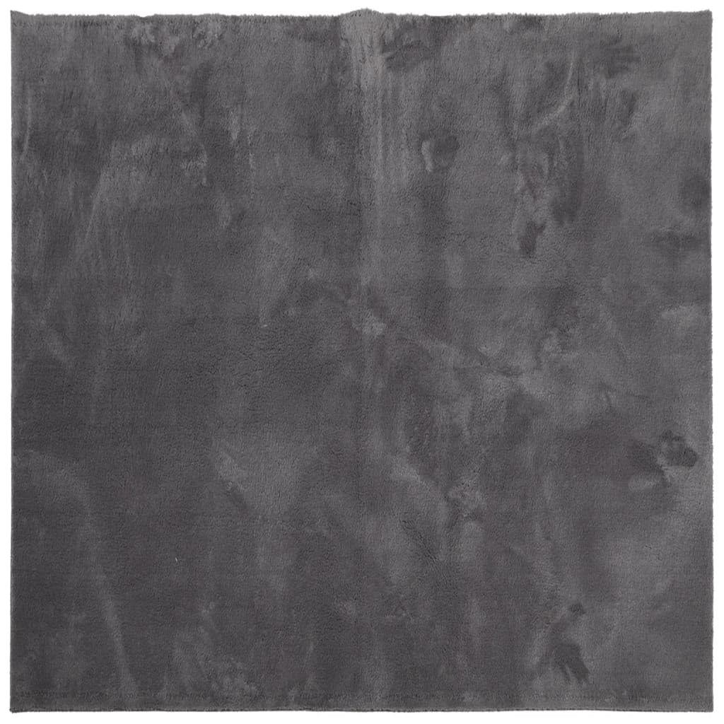 Gecheer HUARTE Tapis à poils courts doux lavable anthracite 200 x 200 cm