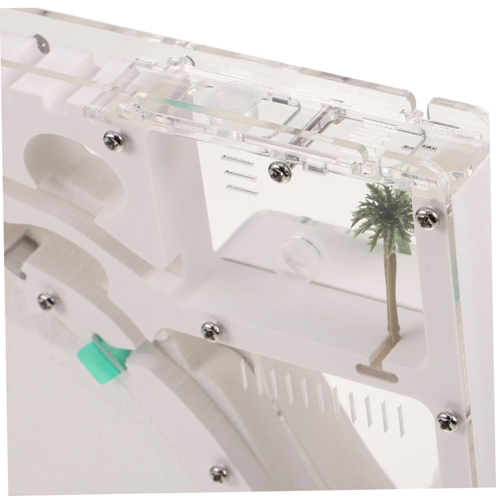 Ant Habitat Castillo Ecológico Transparente Terrario Kit para Observación y Experimentación Científica Infantil Educativo
