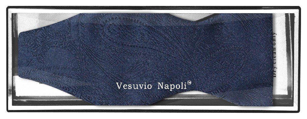 Vesuvio Napoli SELF TIE Bow Tie NAVY BLUE Color PAISLEY Design Men's BowTie
