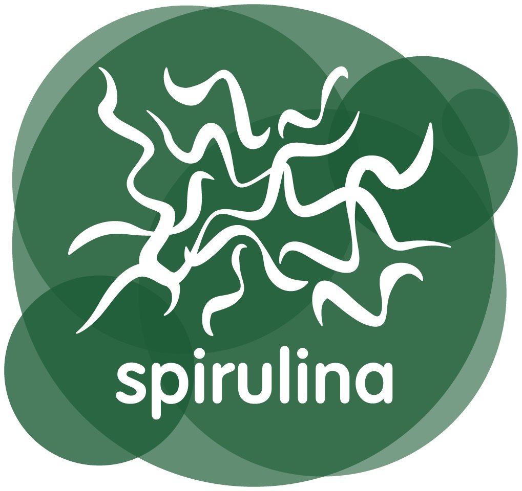 Energy Feelings Spirulina Eco - 1000 gr, 60% de Proteína, Proteína en Polvo Vegana y Ecológica, Rica en Vitaminas y Minerales, Sin Lactosa, Sin Gluten, Ideal para Sopas y Ensalada, Pack XXL