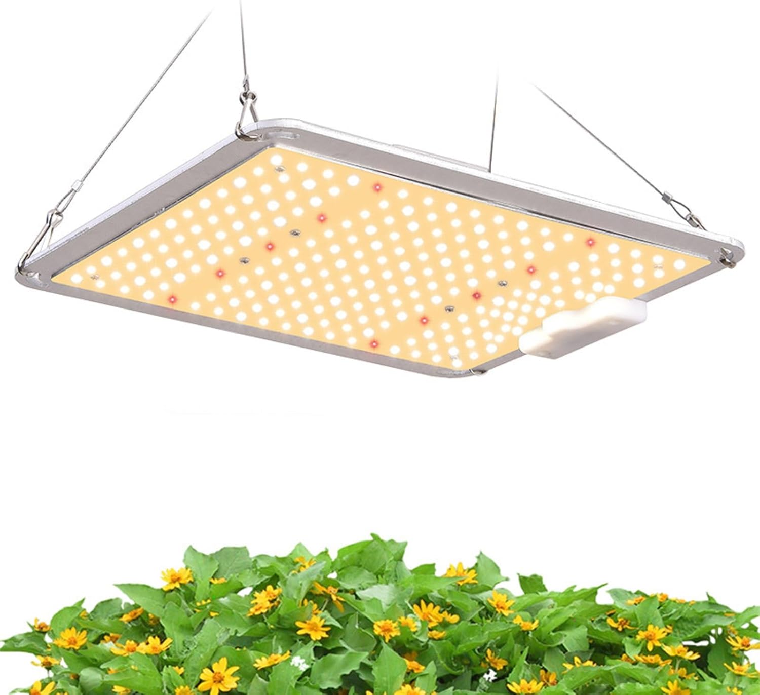 Hobaca Pflanzenlampe LED Groeilampen 100W,255leds DIA 24 X 30 CM Full Spectrum Plant Growing Lamps, 110-270V 3000K 6000K 660nm Pflanzenlicht for Seedling Veg and Indoor Plants