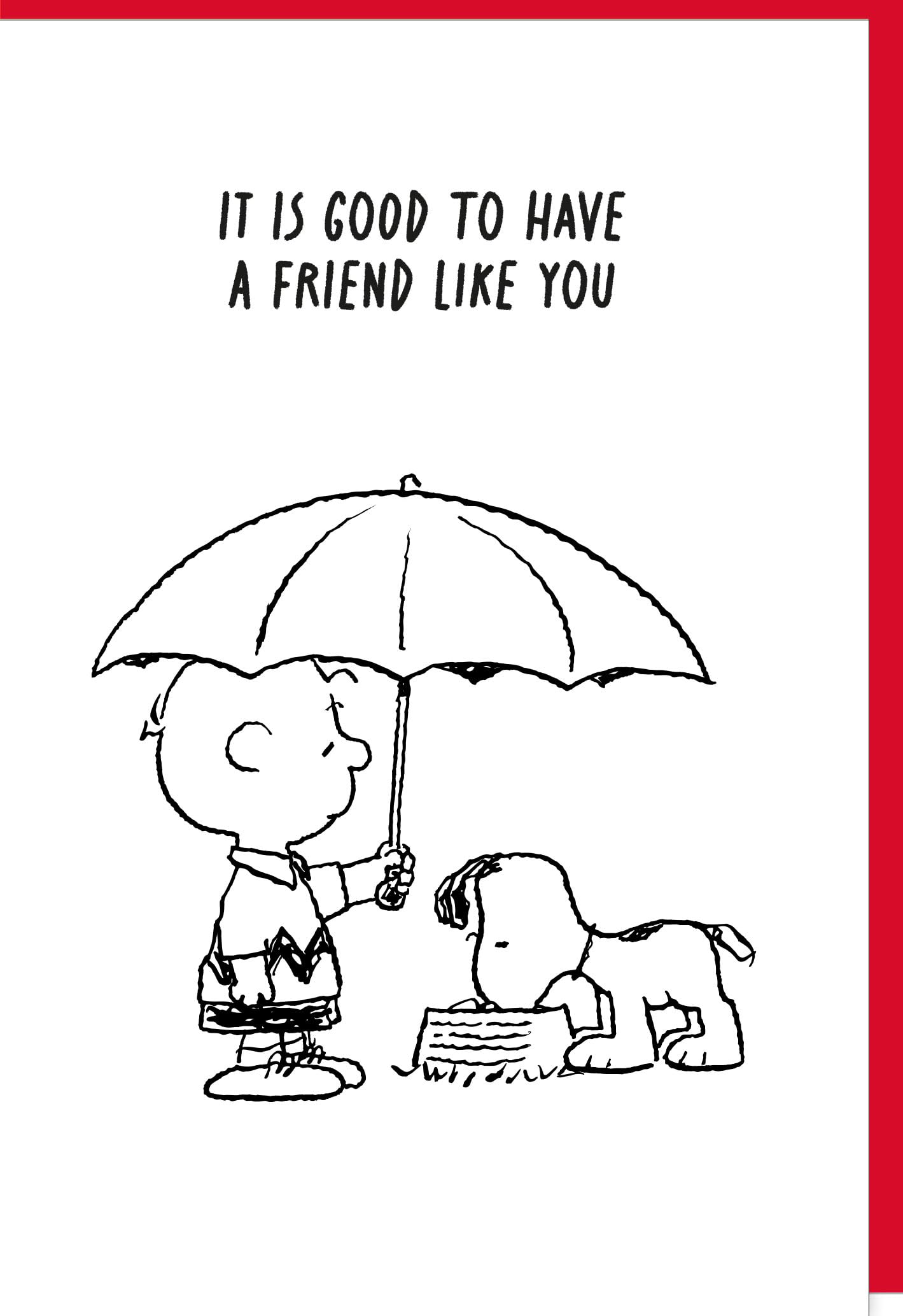 Braun & Company Snoopy Peanuts Woodstock Greeting Card - Original Licensed Design | 11.5 x 17 cm with Matching Envelope | Pack of 6 (5080-26004)