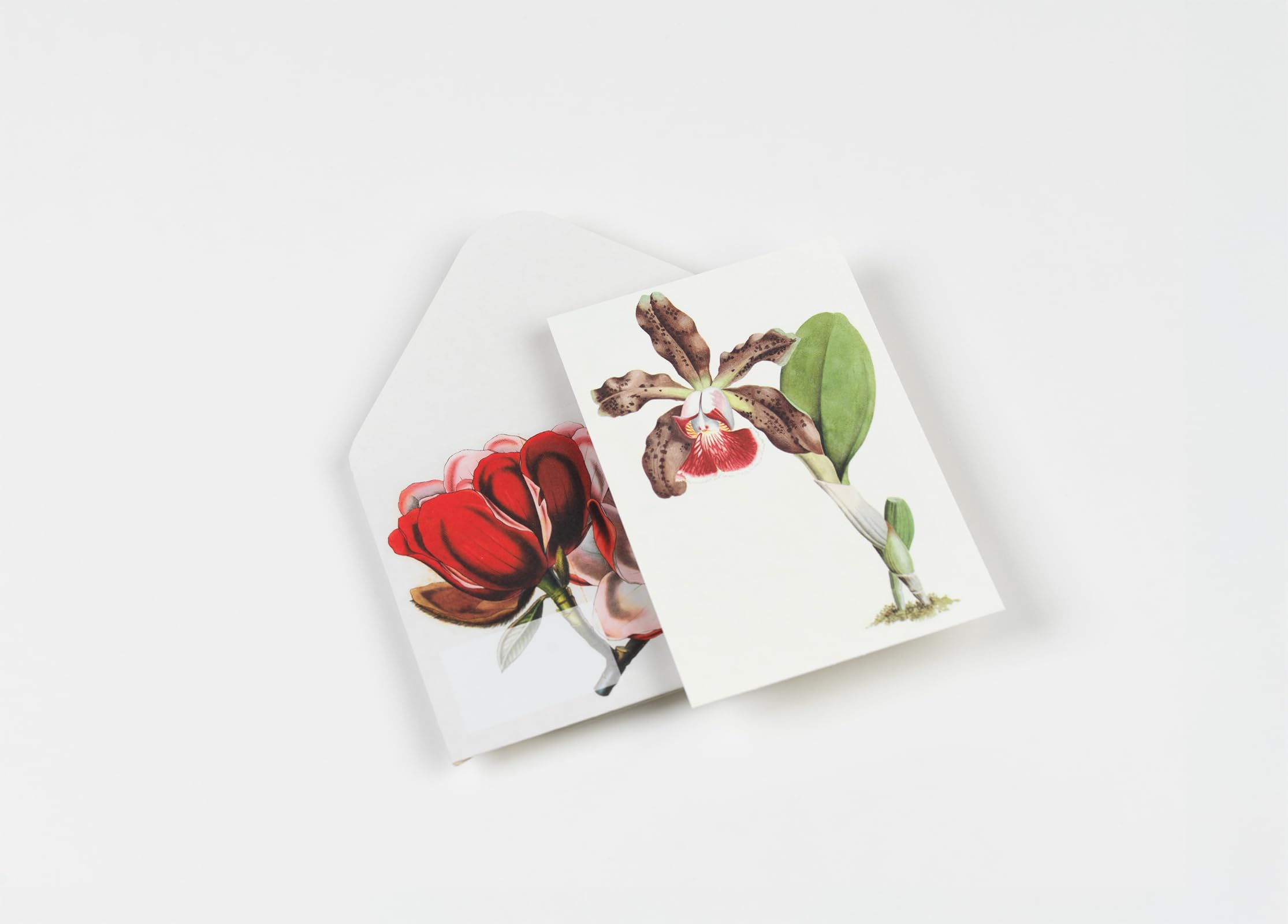 Flowers: Creative Paper Book
