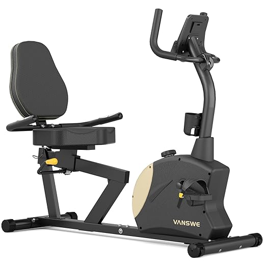 VANSWE Heavy-Duty Recumbent Bike