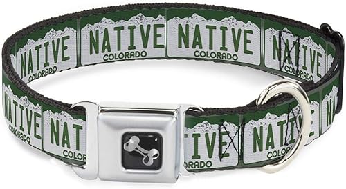 Buckle-Down Collar de perro con hebilla para cinturón de seguridad, placa de matrícula de Colorado, 1 pulgada de ancho, se adapta a cuello de 9 a 15