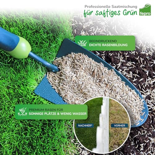 20 kg Rasensamen trockenresistent dürreresistent für Trockenrasen & Schattenrasen Samen Grassamen schnellkeimend, 800m², ideal für Neuansaat und Nachsaat, Rasensaat Grassamen